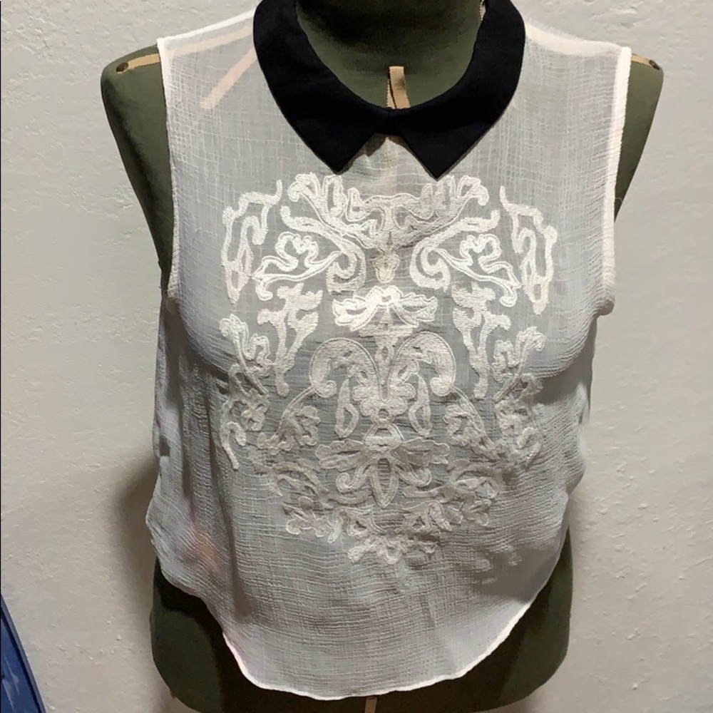 Cute embroidered sheer crop top that zips in back